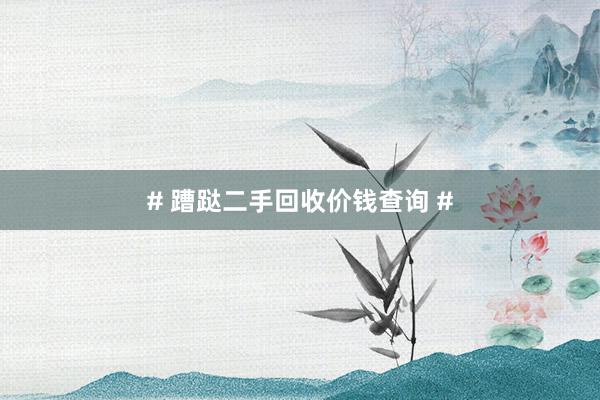 # 蹧跶二手回收价钱查询 #