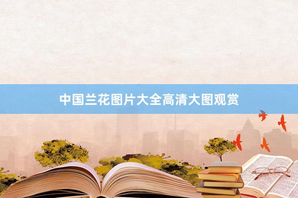 中国兰花图片大全高清大图观赏
