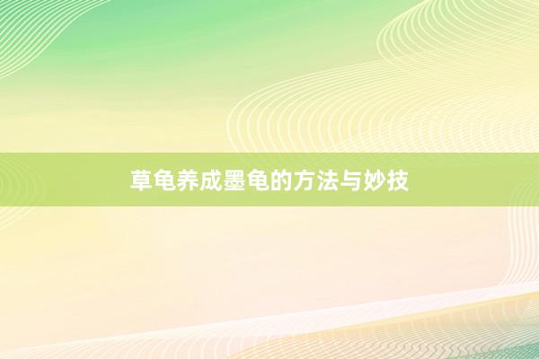 草龟养成墨龟的方法与妙技